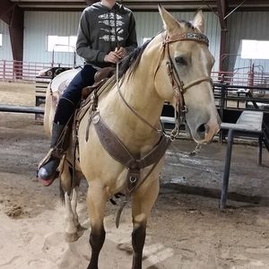 Meet your Posher, Alyson